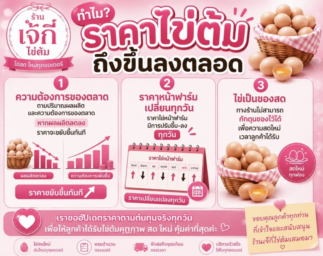 ราคาไข่ต้มแก้บน - ไข่ต้มเจ๊กี๋ ราคาไข่ต้มแก้บน