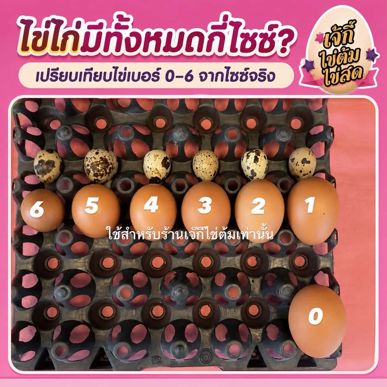 S__35192994_0 - ไข่ต้มเจ๊กี๋ ไข่ไก่ต้มมีทั้งหมดกี่ไซส์
