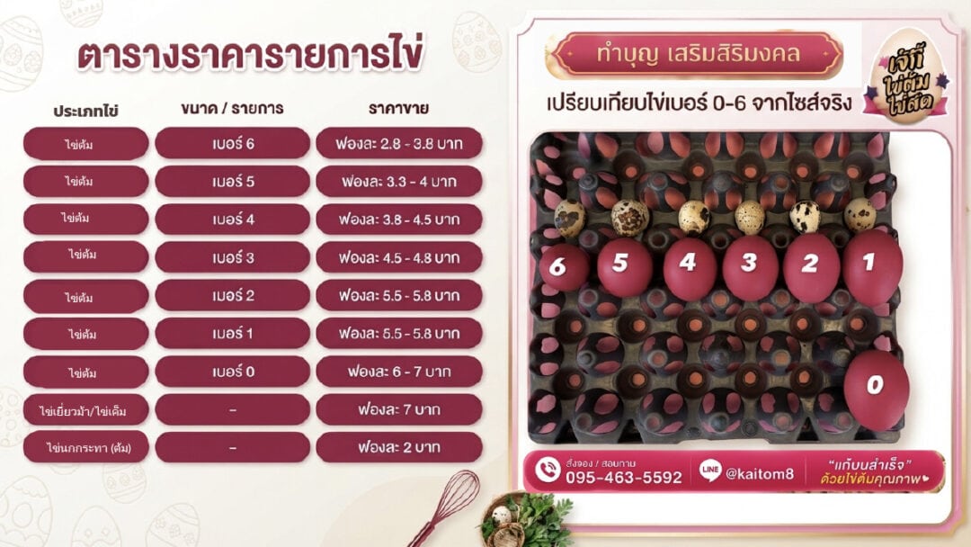 ตารางราคาไข่ - ไข่ต้มเจ๊กี๋